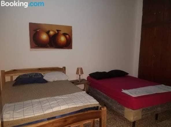 Casa Lucys Hostal Granada Exterior photo